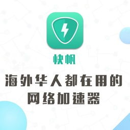 加速器怎么给网页加速（怎么用加速器给网页加速）